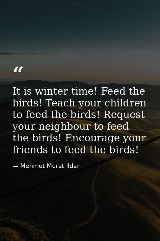 It is winter time! Feed the birds! Teach your children to feed the birds! Request your neighbour to feed the birds! Enco — Mehmet Murat ildan
