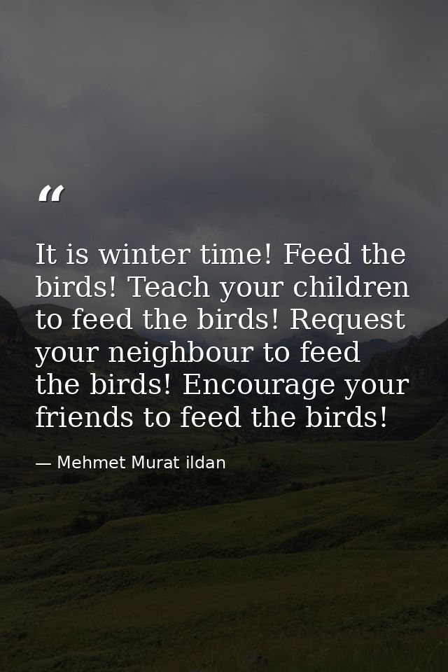 It is winter time! Feed the birds! Teach your children to feed the birds! Request your neighbour to feed the birds! Enco — Mehmet Murat ildan