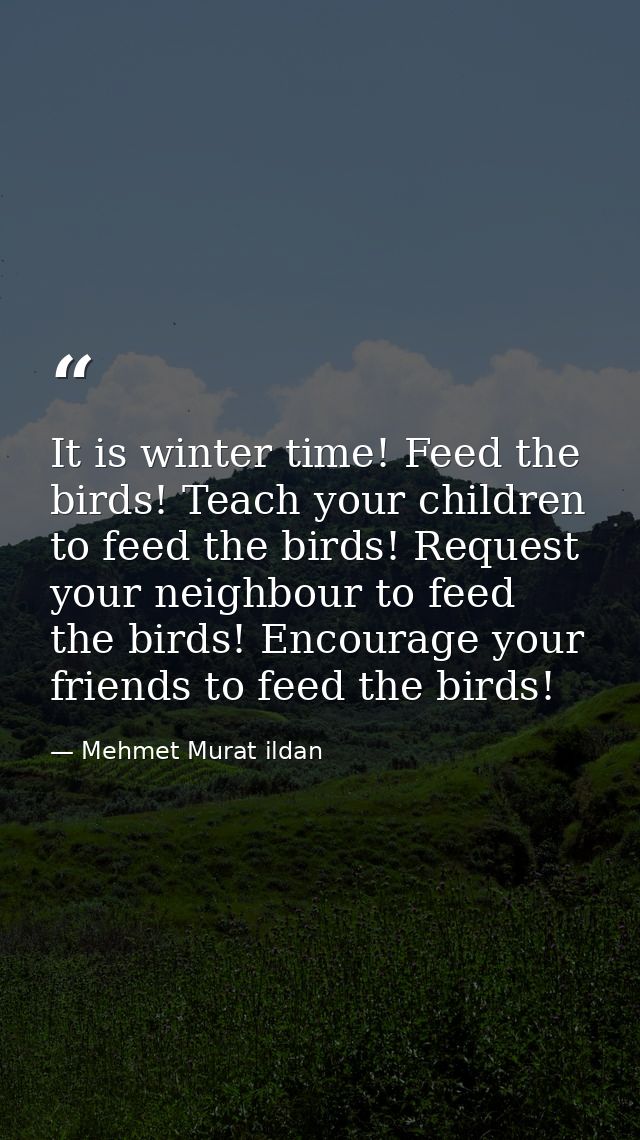It is winter time! Feed the birds! Teach your children to feed the birds! Request your neighbour to feed the birds! Enco — Mehmet Murat ildan