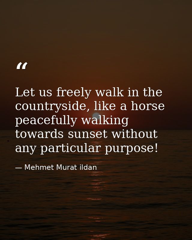 Let us freely walk in the countryside, like a horse peacefully walking towards sunset without any particular purpose! — Mehmet Murat ildan