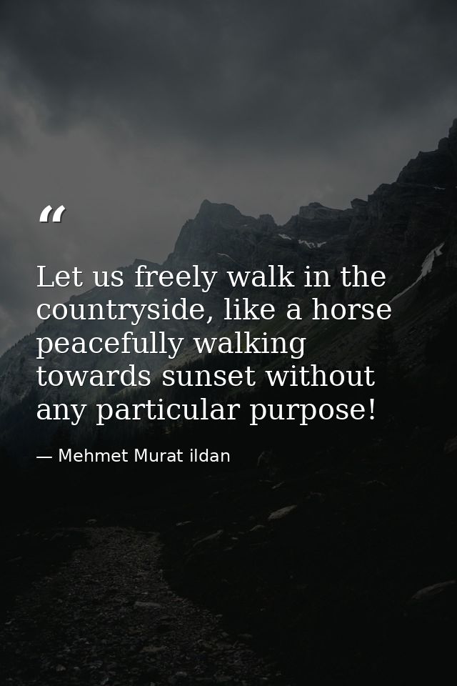 Let us freely walk in the countryside, like a horse peacefully walking towards sunset without any particular purpose! — Mehmet Murat ildan