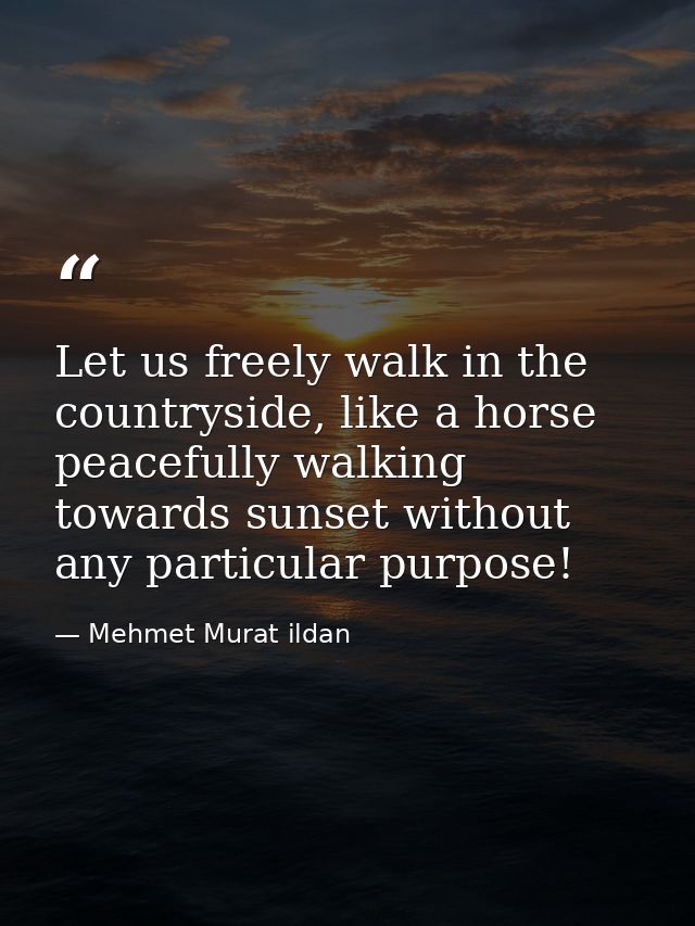 Let us freely walk in the countryside, like a horse peacefully walking towards sunset without any particular purpose! — Mehmet Murat ildan