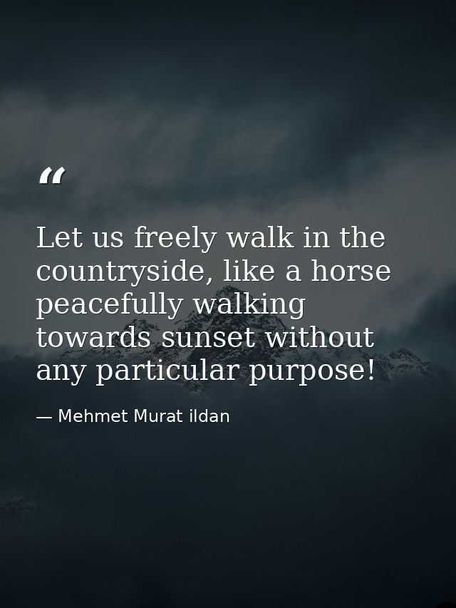 Let us freely walk in the countryside, like a horse peacefully walking towards sunset without any particular purpose! — Mehmet Murat ildan