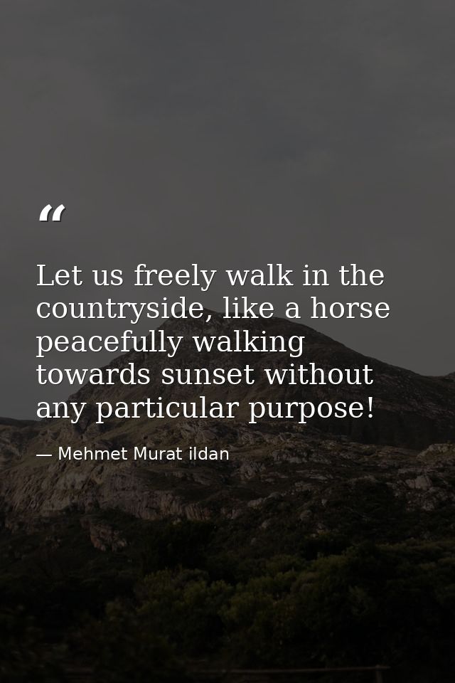 Let us freely walk in the countryside, like a horse peacefully walking towards sunset without any particular purpose! — Mehmet Murat ildan