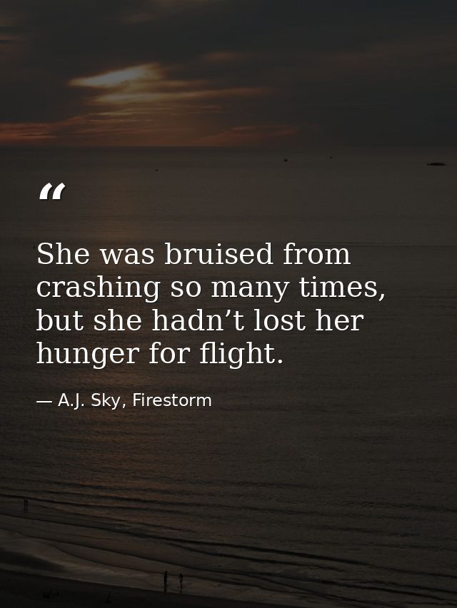 She was bruised from crashing so many times, but she hadn’t lost her hunger for flight. — A.J. Sky, Firestorm