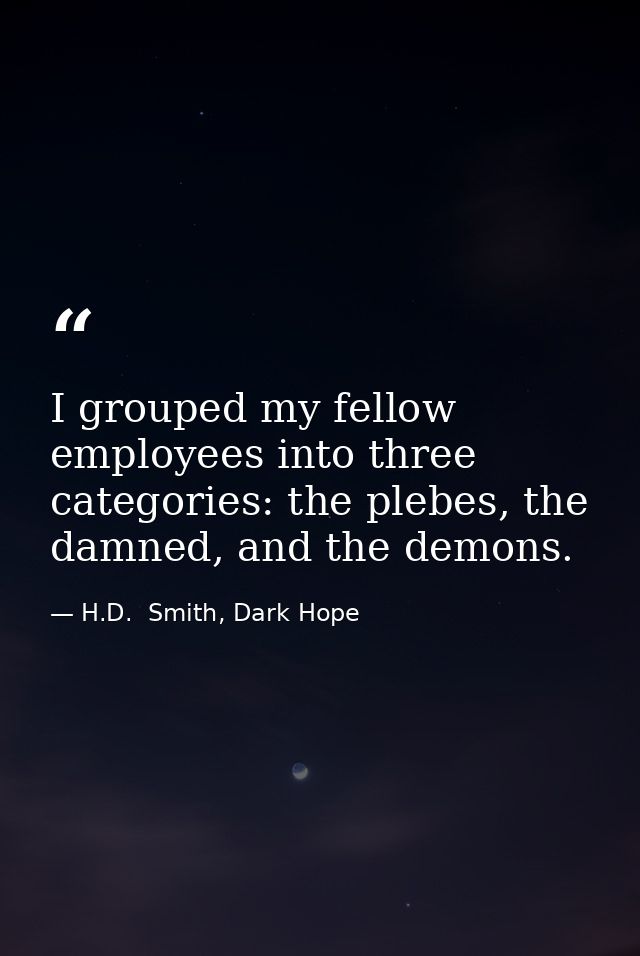 I grouped my fellow employees into three categories: the plebes, the damned, and the demons. — H.D.  Smith, Dark Hope