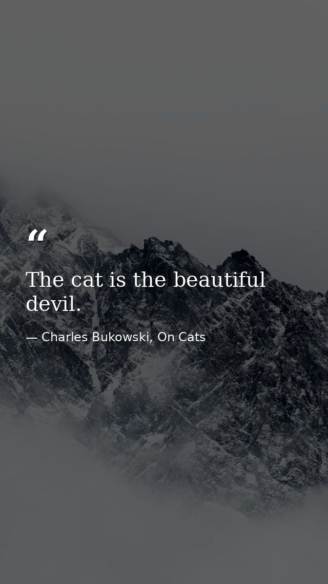 The cat is the beautiful devil. — Charles Bukowski, On Cats