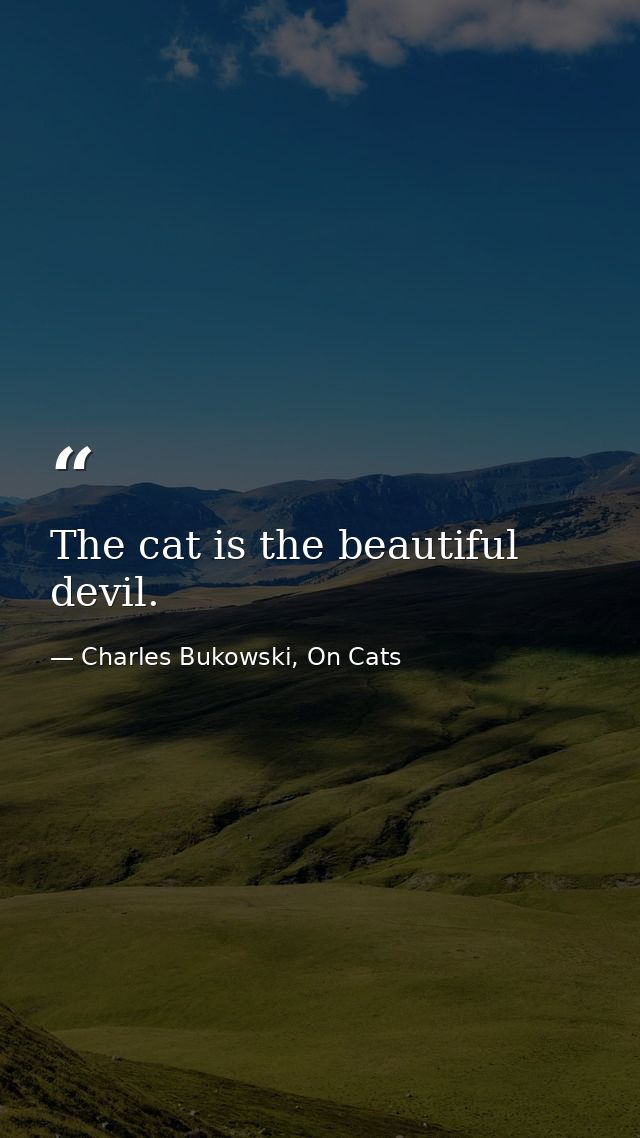 The cat is the beautiful devil. — Charles Bukowski, On Cats