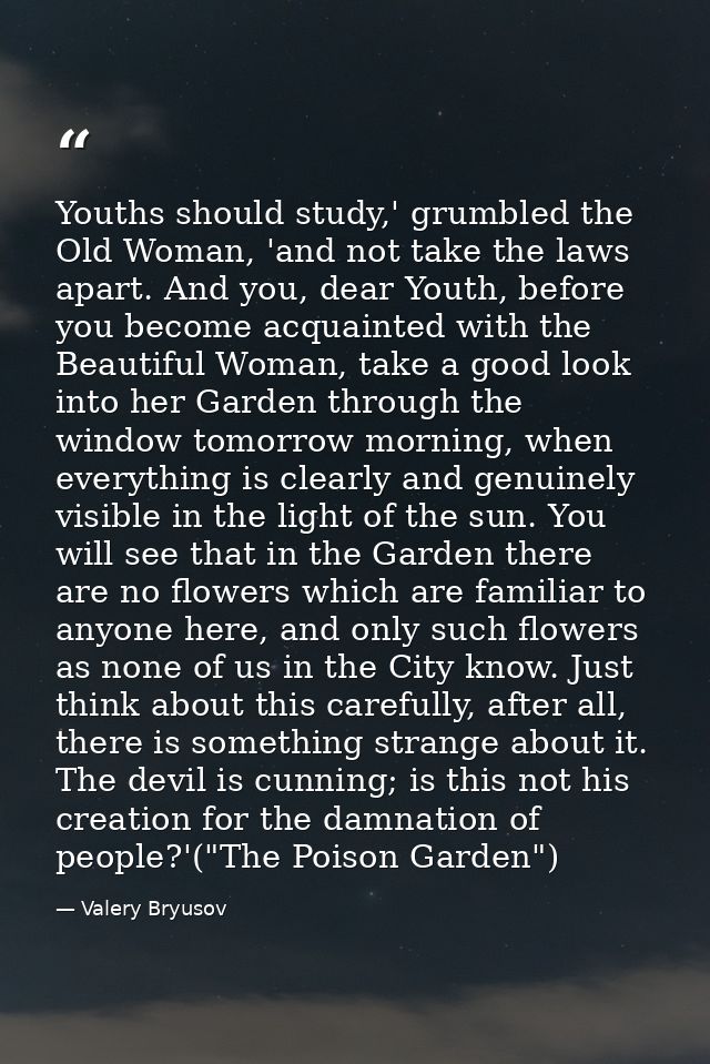 Youths should study,' grumbled the Old Woman, 'and not take the laws apart. And you, dear Youth, before you become acqua — Valery Bryusov