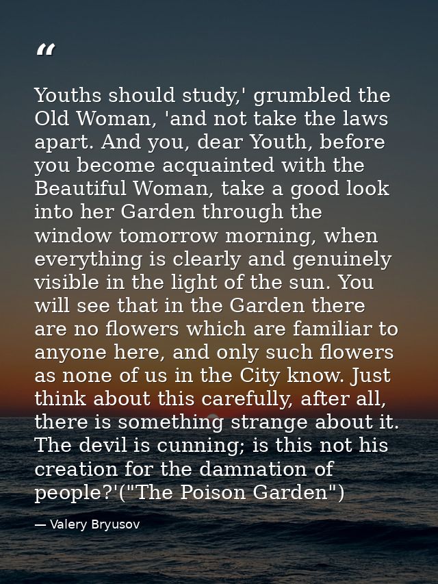Youths should study,' grumbled the Old Woman, 'and not take the laws apart. And you, dear Youth, before you become acqua — Valery Bryusov