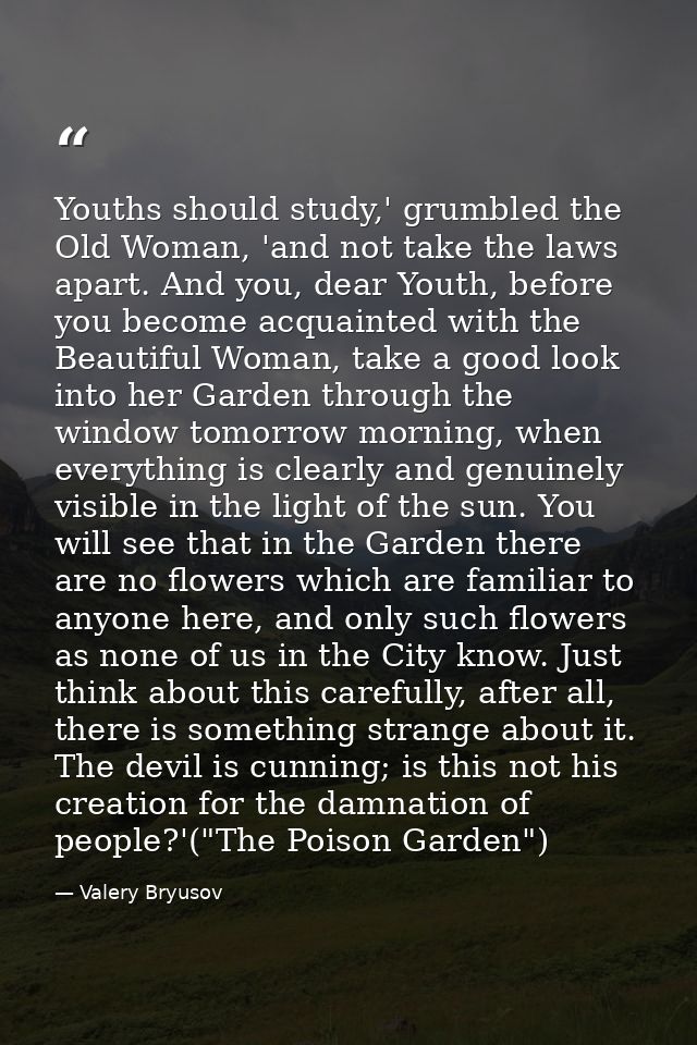 Youths should study,' grumbled the Old Woman, 'and not take the laws apart. And you, dear Youth, before you become acqua — Valery Bryusov