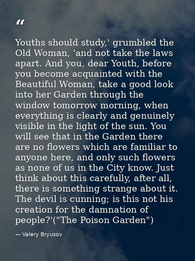 Youths should study,' grumbled the Old Woman, 'and not take the laws apart. And you, dear Youth, before you become acqua — Valery Bryusov