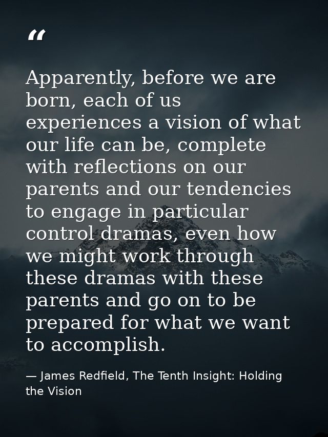 Apparently, before we are born, each of us experiences a vision of what our life can be, complete with reflections on ou — James Redfield, The Tenth Insight: Holding the Vision