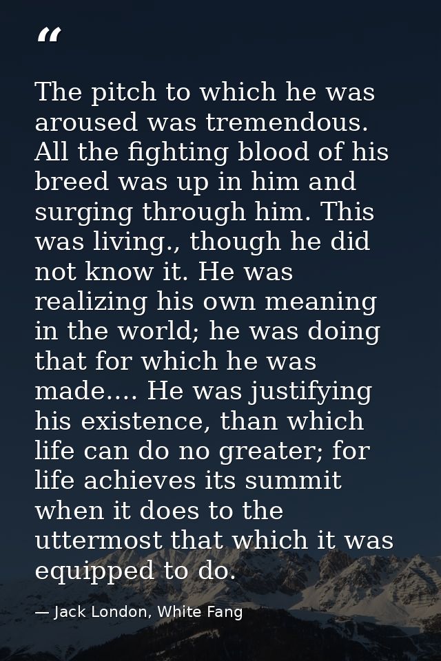The pitch to which he was aroused was tremendous. All the fighting blood of his breed was up in him and surging through  — Jack London, White Fang