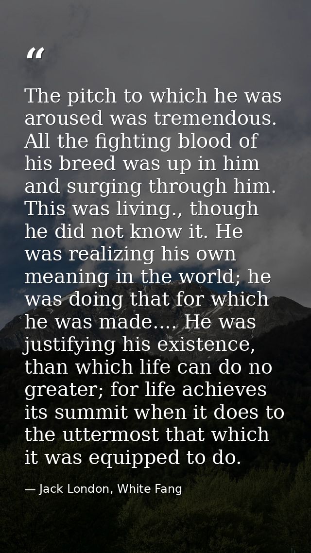 The pitch to which he was aroused was tremendous. All the fighting blood of his breed was up in him and surging through  — Jack London, White Fang