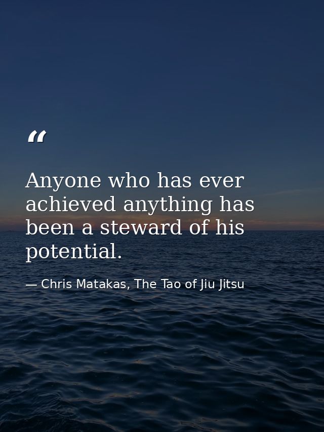 Anyone who has ever achieved anything has been a steward of his potential. — Chris Matakas, The Tao of Jiu Jitsu