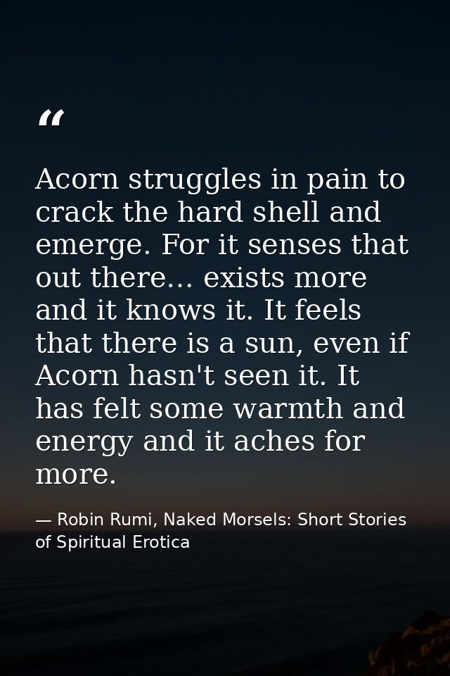 Acorn struggles in pain to crack the hard shell and emerge. For it senses that out there… exists more and it knows it. I — Robin Rumi, Naked Morsels: Short Stories of Spiritual Erotica