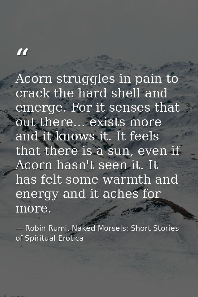 Acorn struggles in pain to crack the hard shell and emerge. For it senses that out there… exists more and it knows it. I — Robin Rumi, Naked Morsels: Short Stories of Spiritual Erotica