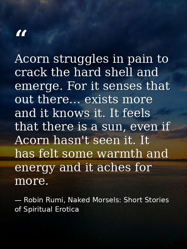 Acorn struggles in pain to crack the hard shell and emerge. For it senses that out there… exists more and it knows it. I — Robin Rumi, Naked Morsels: Short Stories of Spiritual Erotica