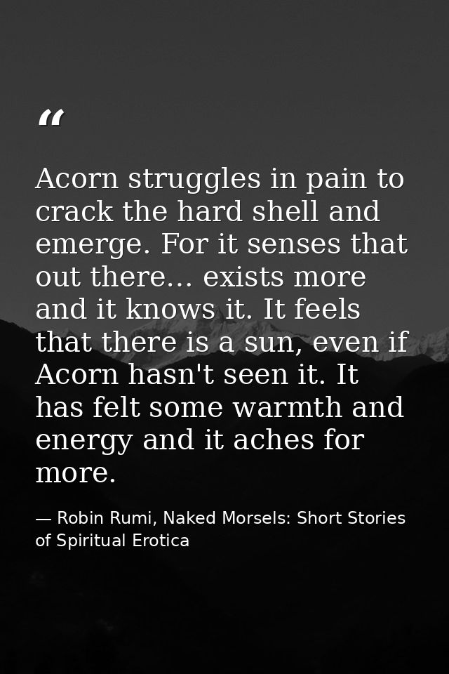 Acorn struggles in pain to crack the hard shell and emerge. For it senses that out there… exists more and it knows it. I — Robin Rumi, Naked Morsels: Short Stories of Spiritual Erotica