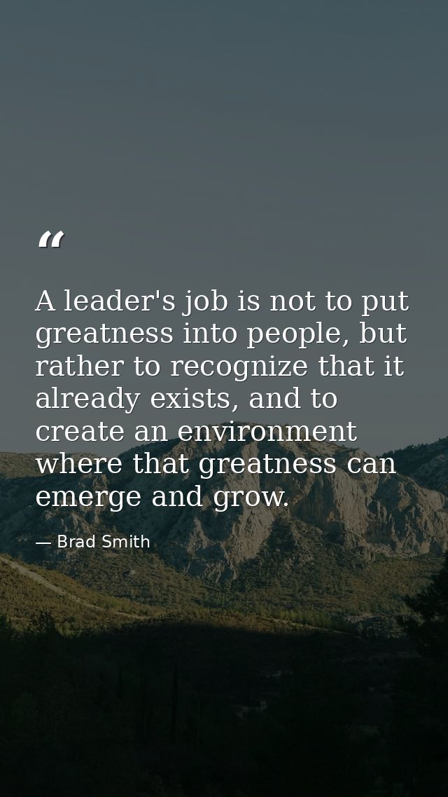 A leader's job is not to put greatness into people, but rather to recognize that it already exists, and to create an env — Brad Smith