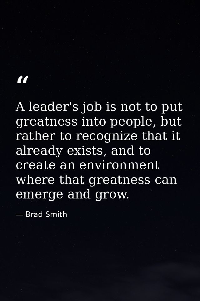 A leader's job is not to put greatness into people, but rather to recognize that it already exists, and to create an env — Brad Smith