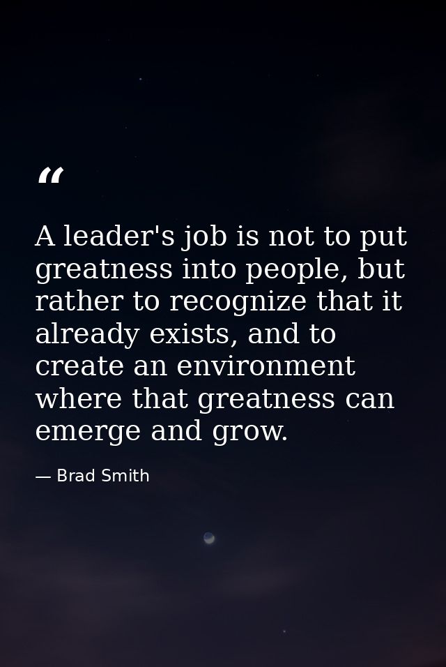 A leader's job is not to put greatness into people, but rather to recognize that it already exists, and to create an env — Brad Smith