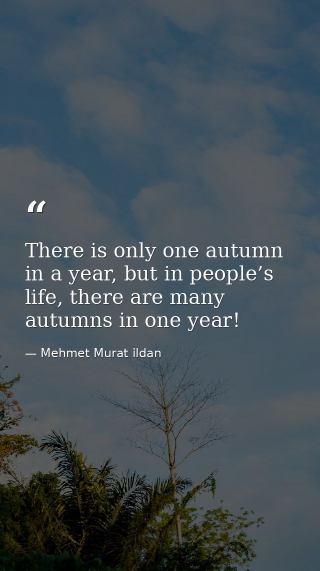 There is only one autumn in a year, but in people’s life, there are many autumns in one year! — Mehmet Murat ildan