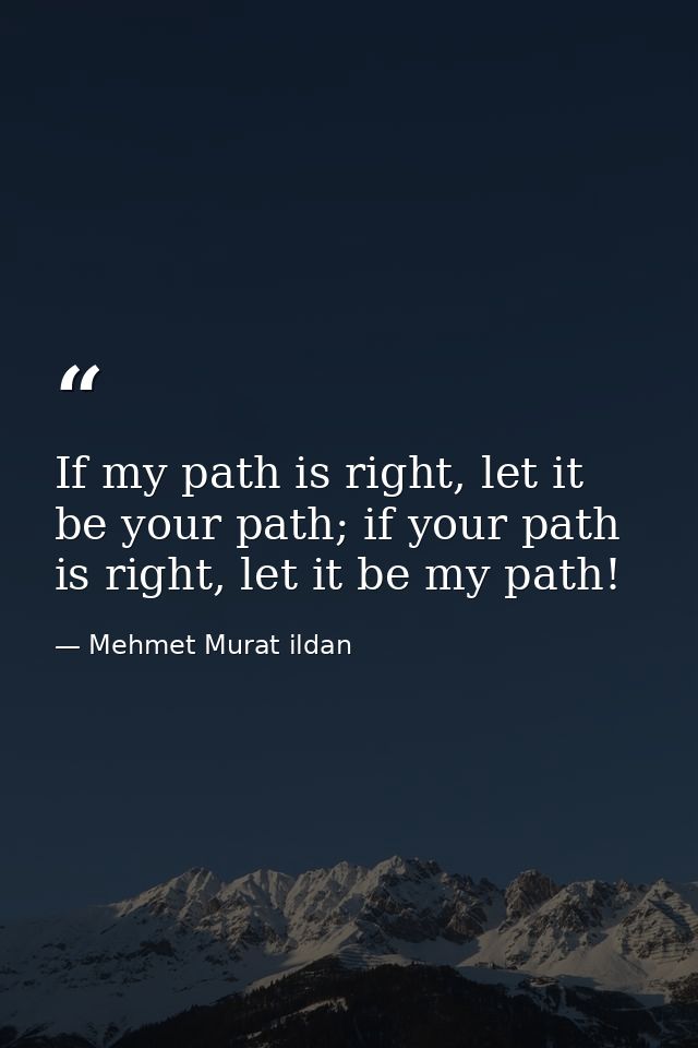 If my path is right, let it be your path; if your path is right, let it be my path! — Mehmet Murat ildan