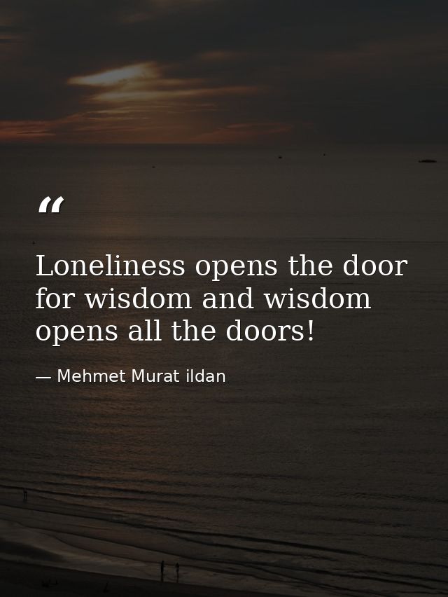 Loneliness opens the door for wisdom and wisdom opens all the doors! — Mehmet Murat ildan
