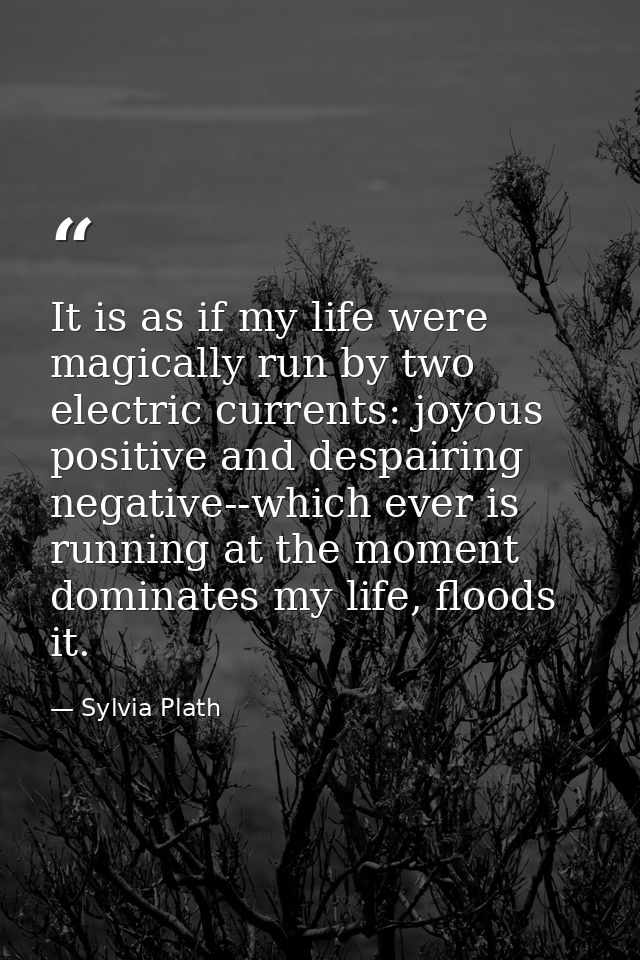 It is as if my life were magically run by two electric currents: joyous positive and despairing negative--which ever is  — Sylvia Plath