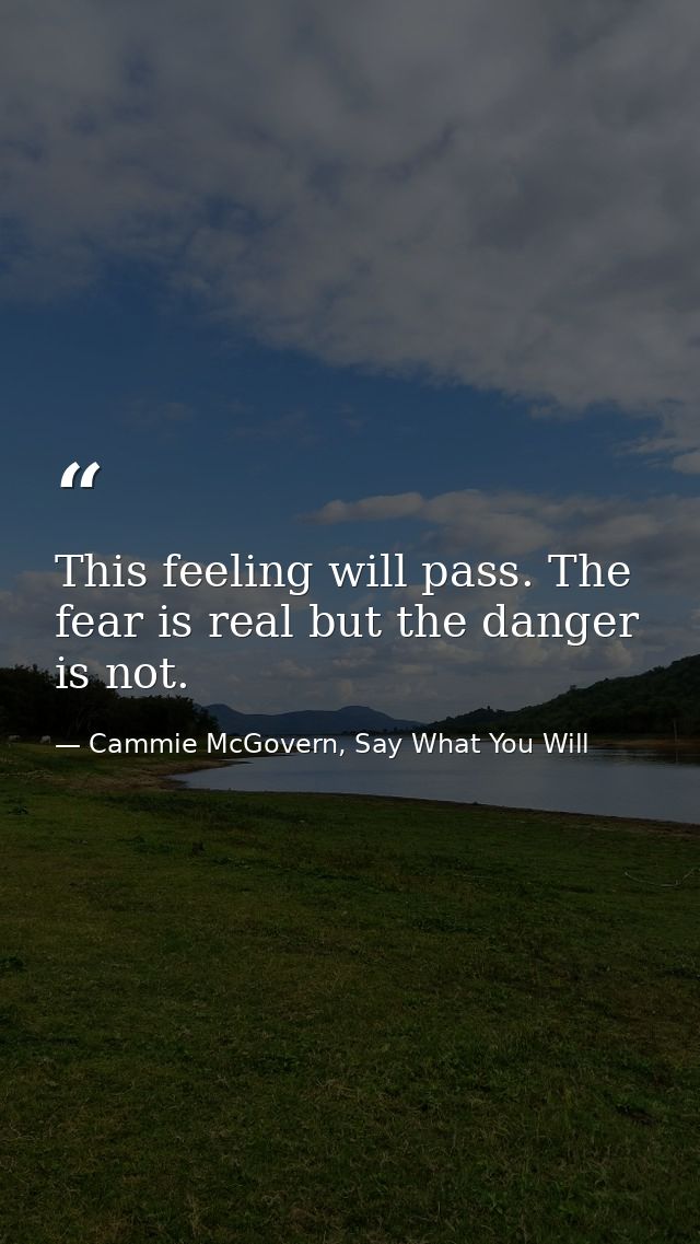 This feeling will pass. The fear is real but the danger is not. — Cammie McGovern, Say What You Will