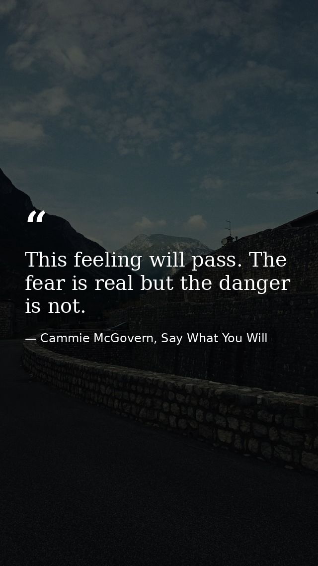 This feeling will pass. The fear is real but the danger is not. — Cammie McGovern, Say What You Will