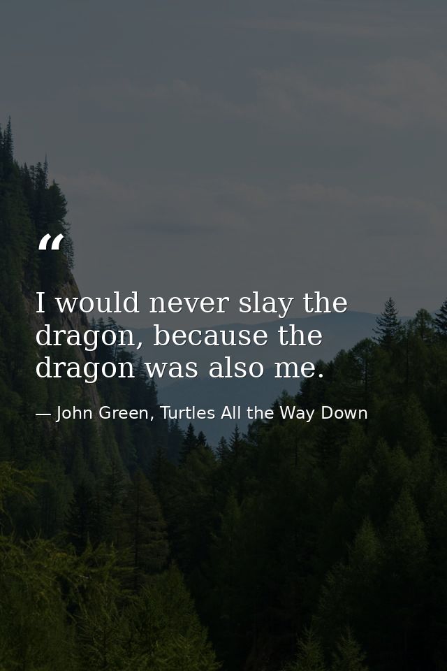 I would never slay the dragon, because the dragon was also me. — John Green, Turtles All the Way Down