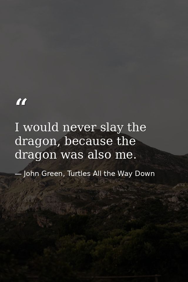 I would never slay the dragon, because the dragon was also me. — John Green, Turtles All the Way Down