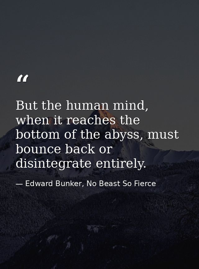 But the human mind, when it reaches the bottom of the abyss, must bounce back or disintegrate entirely. — Edward Bunker, No Beast So Fierce
