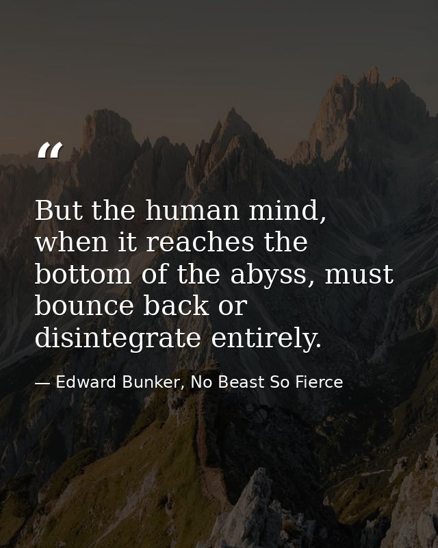 But the human mind, when it reaches the bottom of the abyss, must bounce back or disintegrate entirely. — Edward Bunker, No Beast So Fierce
