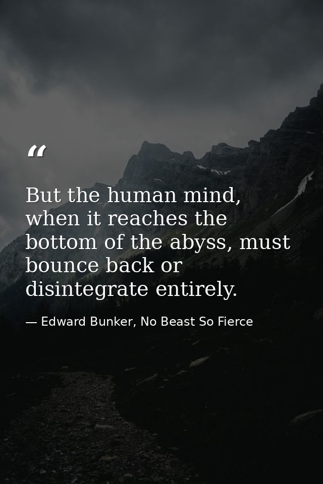 But the human mind, when it reaches the bottom of the abyss, must bounce back or disintegrate entirely. — Edward Bunker, No Beast So Fierce