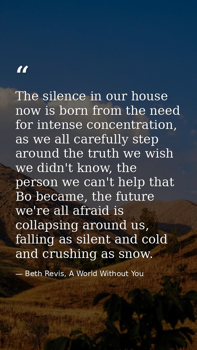 The silence in our house now is born from the need for intense concentration, as we all carefully step around the truth  — Beth Revis, A World Without You