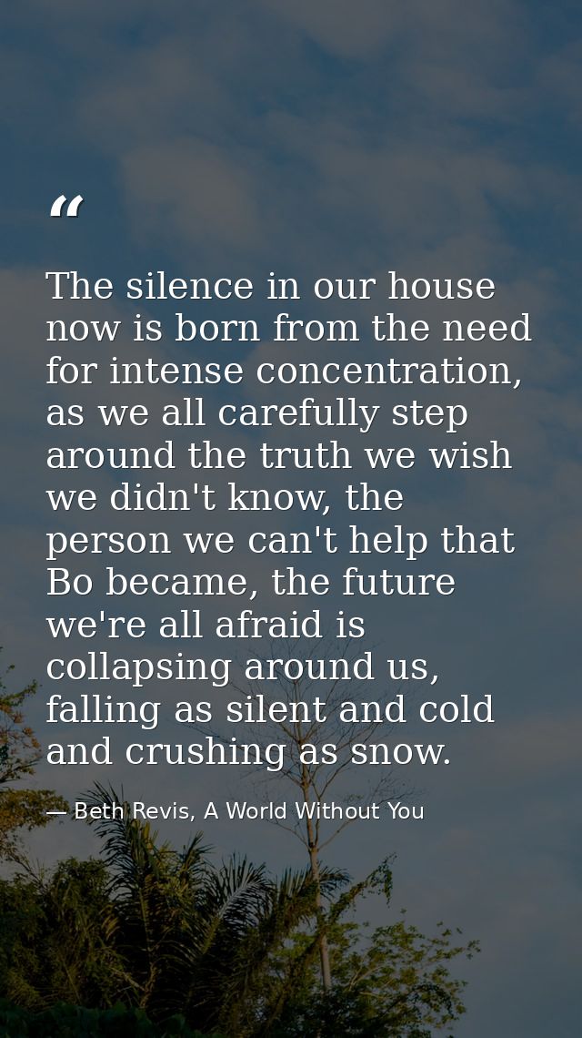 The silence in our house now is born from the need for intense concentration, as we all carefully step around the truth  — Beth Revis, A World Without You
