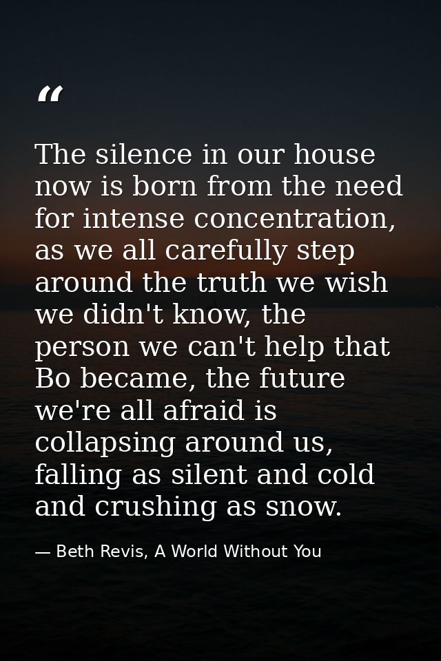 The silence in our house now is born from the need for intense concentration, as we all carefully step around the truth  — Beth Revis, A World Without You