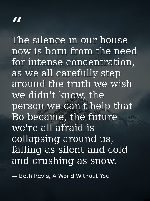 The silence in our house now is born from the need for intense concentration, as we all carefully step around the truth  — Beth Revis, A World Without You