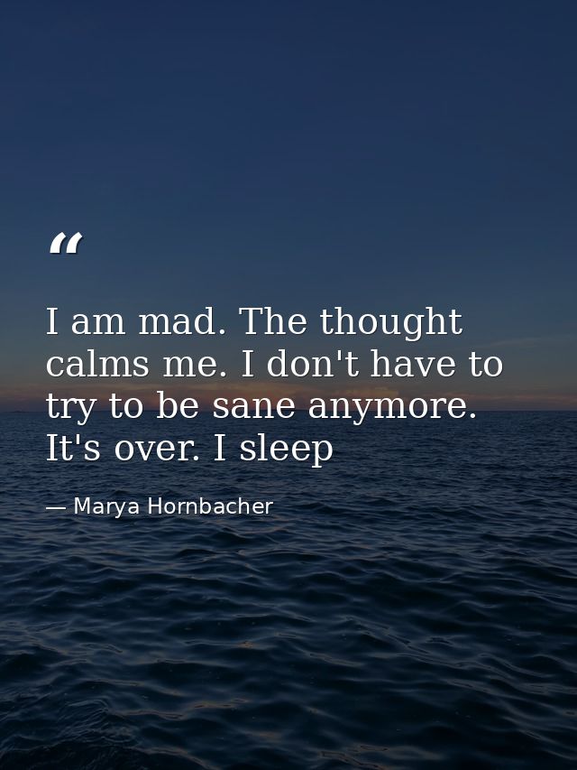 I am mad. The thought calms me. I don't have to try to be sane anymore. It's over. I sleep — Marya Hornbacher