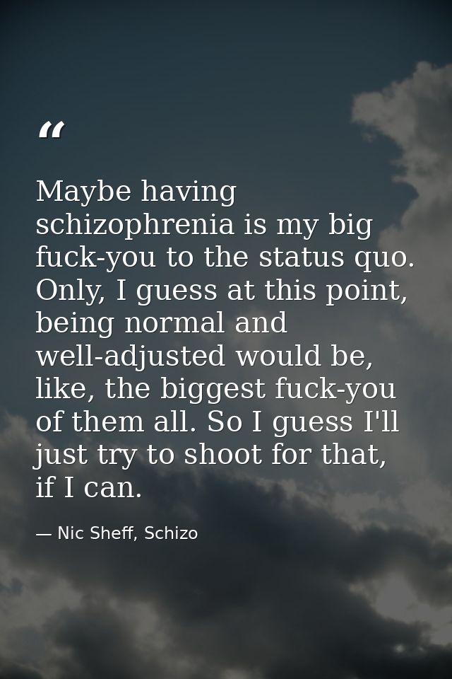 Maybe having schizophrenia is my big fuck-you to the status quo. Only, I guess at this point, being normal and well-adju — Nic Sheff, Schizo
