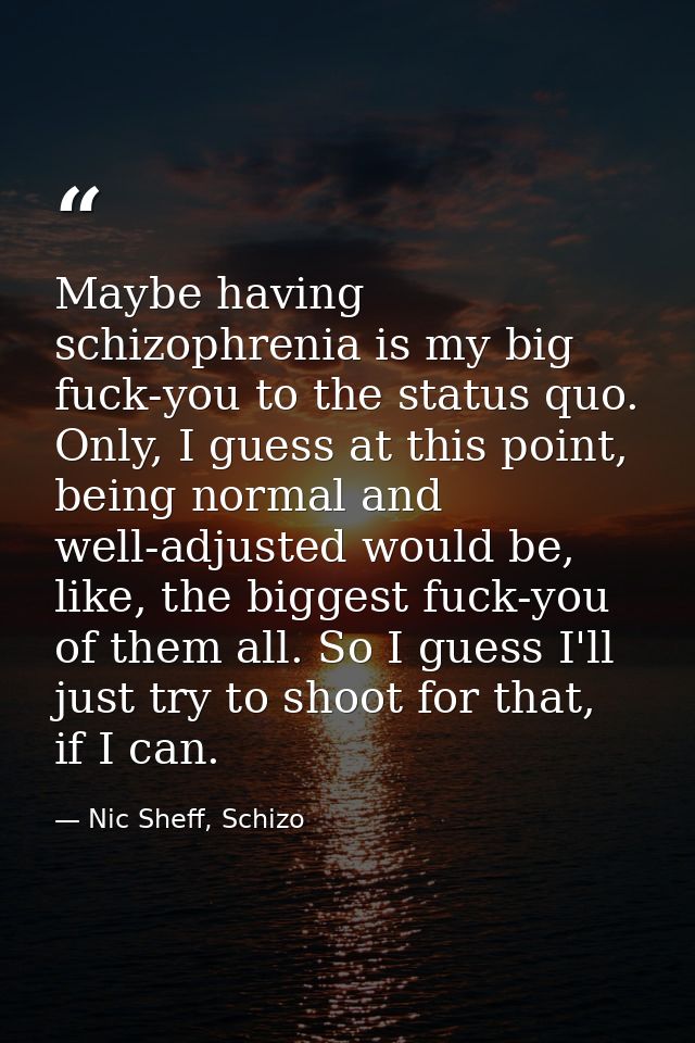Maybe having schizophrenia is my big fuck-you to the status quo. Only, I guess at this point, being normal and well-adju — Nic Sheff, Schizo