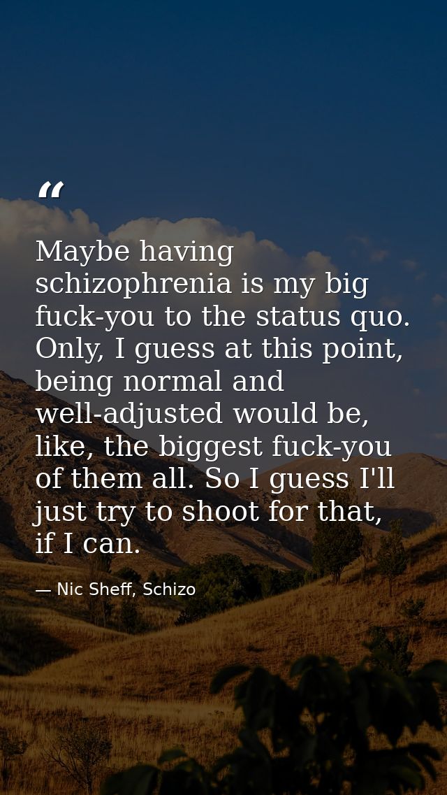 Maybe having schizophrenia is my big fuck-you to the status quo. Only, I guess at this point, being normal and well-adju — Nic Sheff, Schizo
