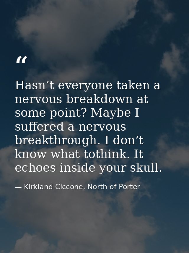 Hasn’t everyone taken a nervous breakdown at some point? Maybe I suffered a nervous breakthrough. I don’t know what toth — Kirkland Ciccone, North of Porter