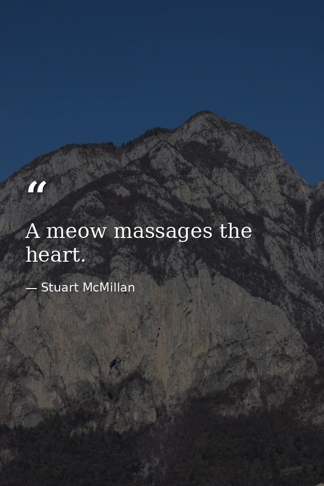 A meow massages the heart. — Stuart McMillan