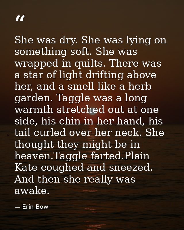 She was dry. She was lying on something soft. She was wrapped in quilts. There was a star of light drifting above her, a — Erin Bow