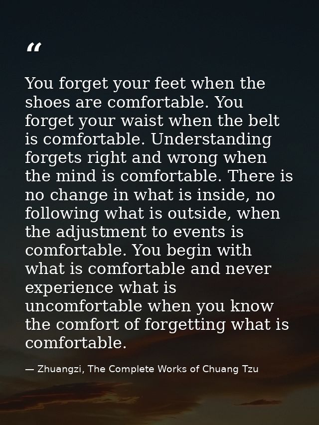 You forget your feet when the shoes are comfortable. You forget your waist when the belt is comfortable. Understanding f — Zhuangzi, The Complete Works of Chuang Tzu